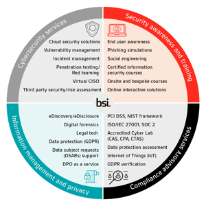 BSI Capabilities