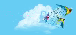 Birds Padlock - Data Migration