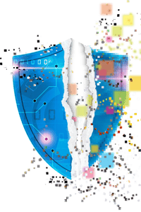 data risk report