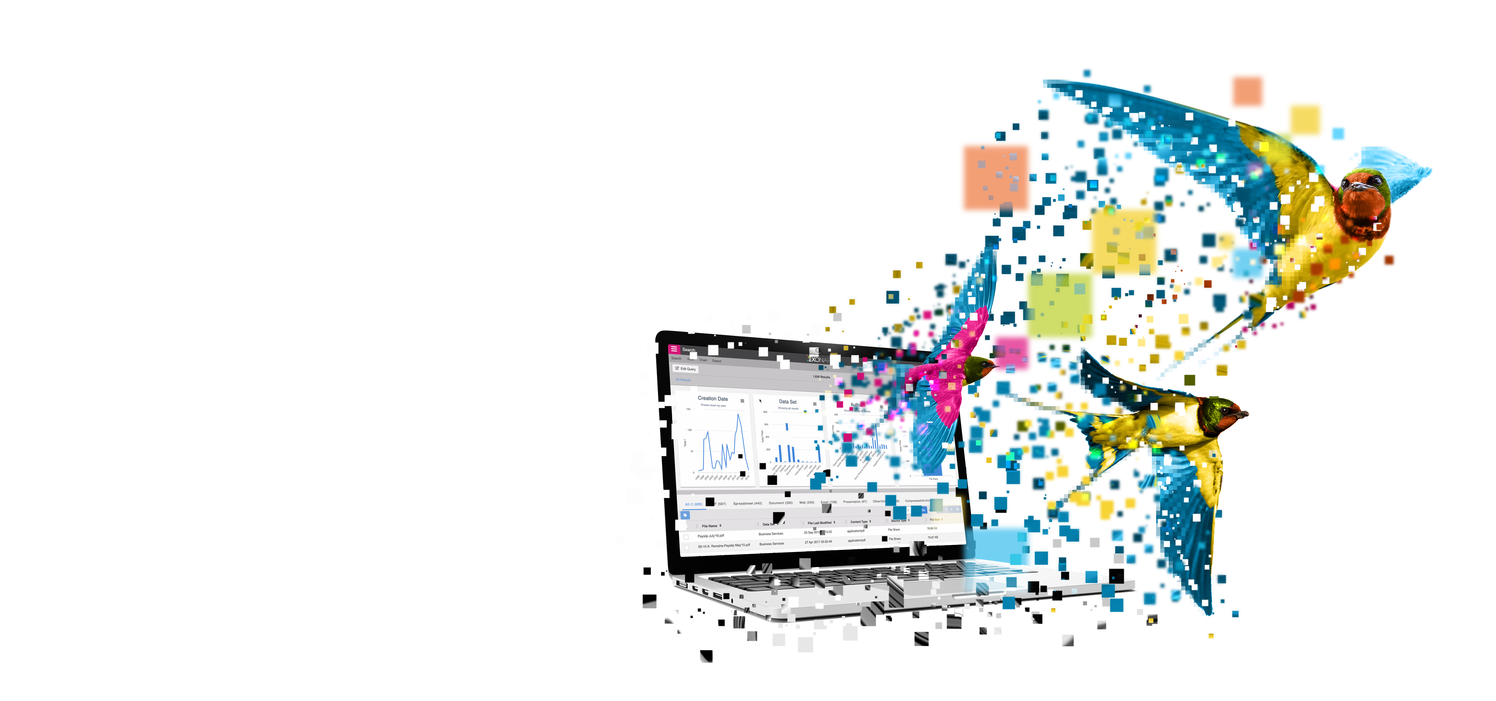 Birds - Data Migration